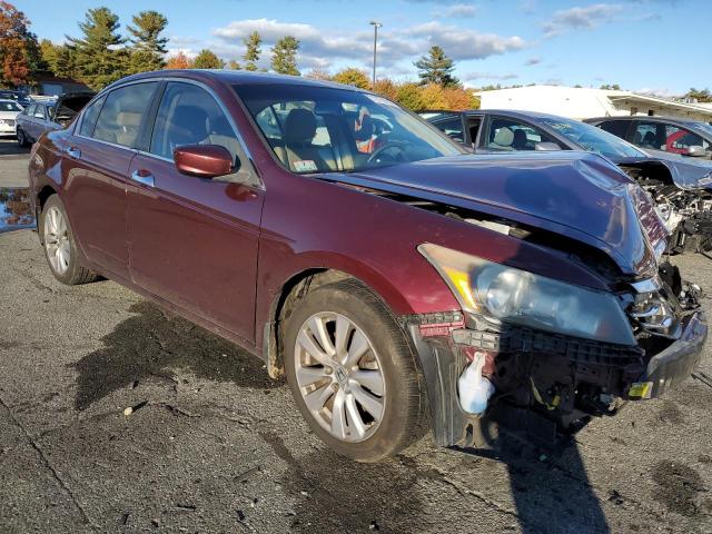 1HGCP3F86BA011672 - 2011 HONDA ACCORD EXL MAROON photo 4