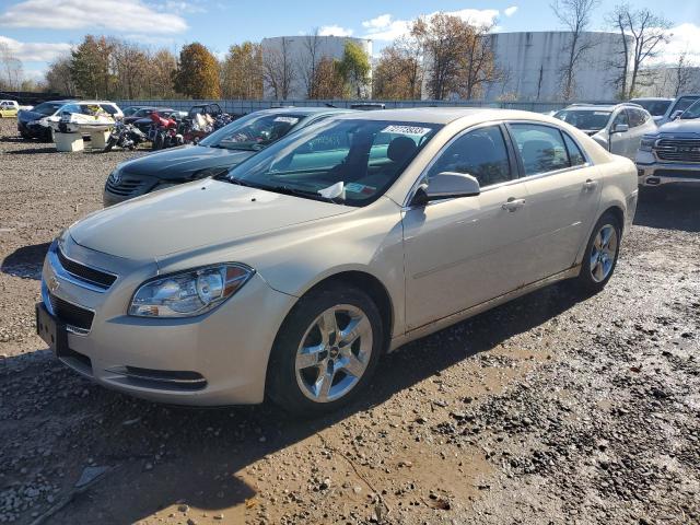 1G1ZC5EB5AF120776 - 2010 CHEVROLET MALIBU LIM 1LT TAN photo 1