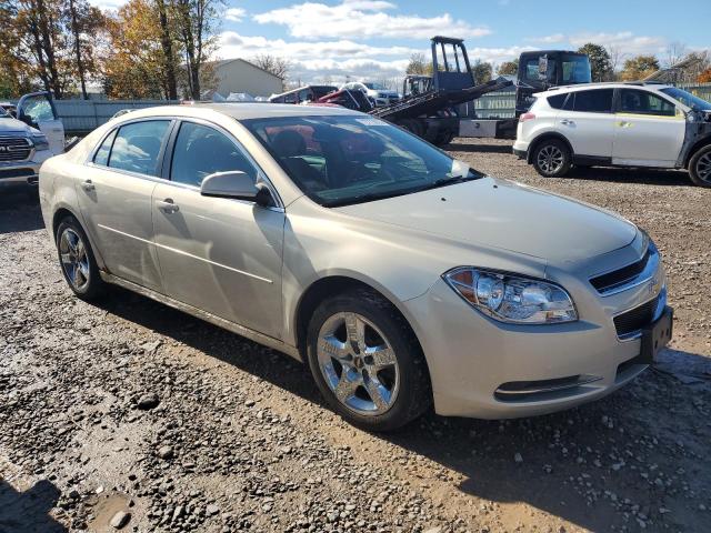 1G1ZC5EB5AF120776 - 2010 CHEVROLET MALIBU LIM 1LT TAN photo 4