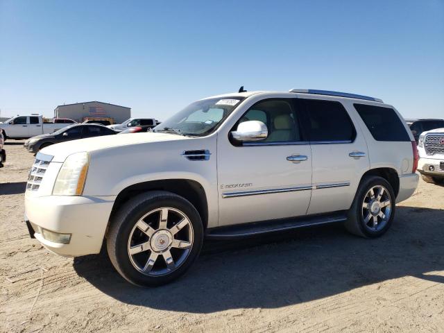 1GYFK63817R187449 - 2007 CADILLAC ESCALADE LUXURY CREAM photo 1