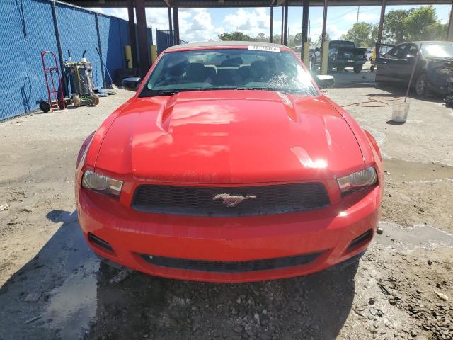 1ZVBP8EN3A5171611 - 2010 FORD MUSTANG RED photo 5