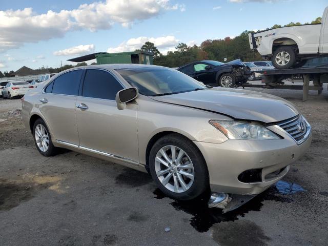 JTHBK1EG8A2365822 - 2010 LEXUS ES 350 BEIGE photo 4