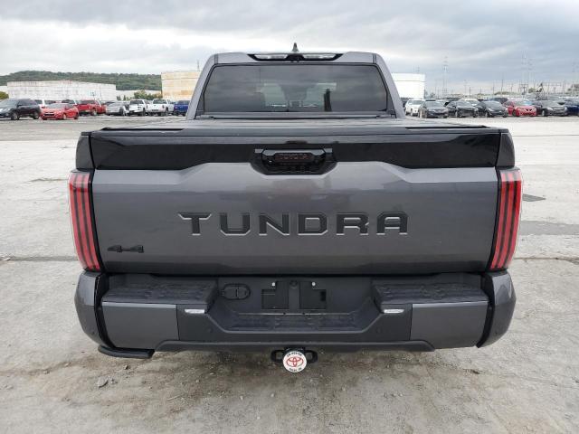 5TFNA5DB7PX116079 - 2023 TOYOTA TUNDRA CREWMAX PLATINUM Graphit Foto 6