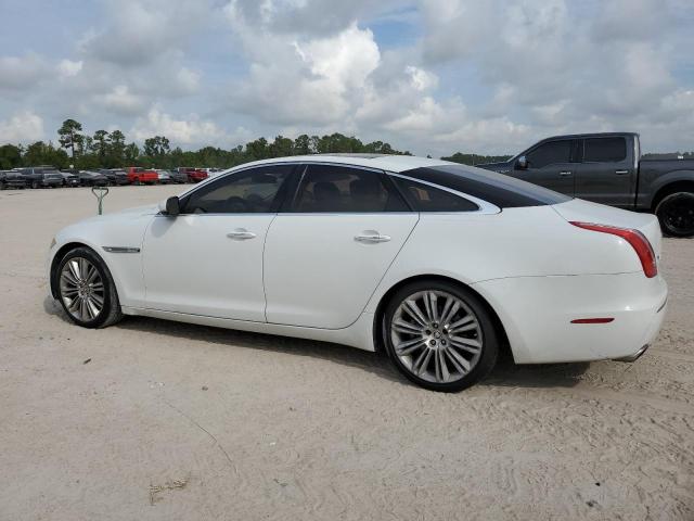 SAJWA1CB5BLV06078 - 2011 JAGUAR XJ WHITE photo 2