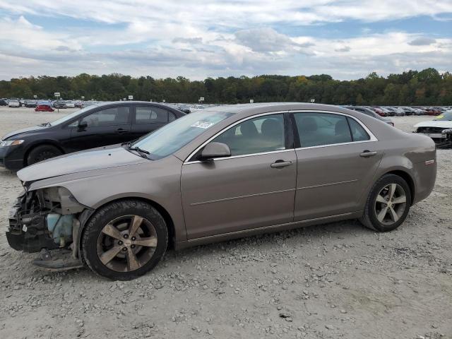 1G1ZC5EU8BF286843 - 2011 CHEVROLET MALIBU 1LT 棕色 照片 1
