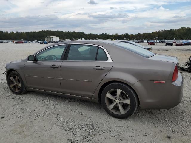 1G1ZC5EU8BF286843 - 2011 CHEVROLET MALIBU 1LT 棕色 照片 2