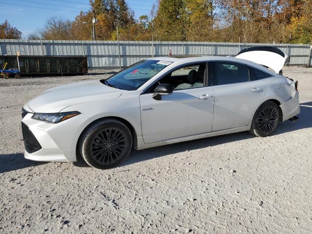 2019 TOYOTA AVALON XLE, 