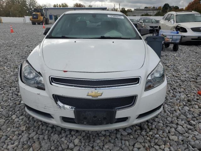 1G1ZB5EB1A4129778 - 2010 CHEVROLET MALIBU LS WHITE photo 5