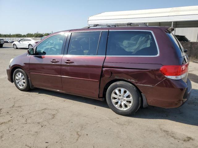 5FNRL38429B412880 - 2009 HONDA ODYSSEY EX BURGUNDY photo 2