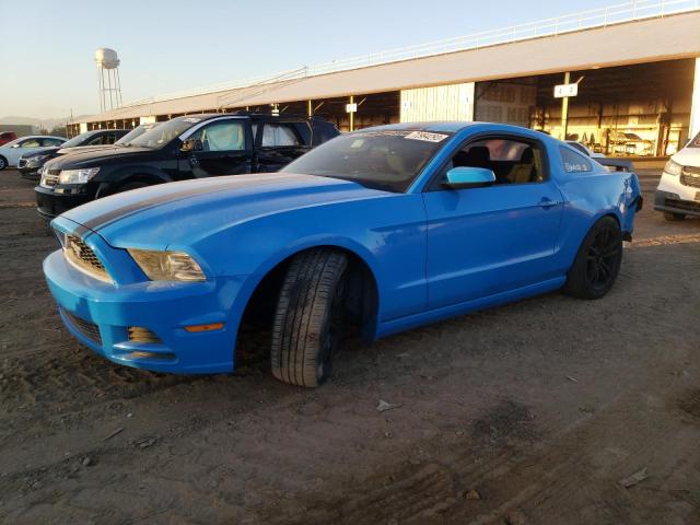 1ZVBP8AM2E5245703 - 2014 FORD MUSTANG BLUE photo 1