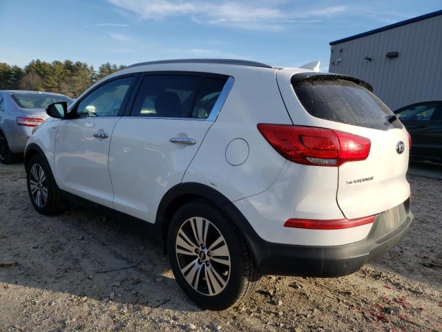 KNDPCCAC4G7846729 - 2016 KIA SPORTAGE EX WHITE photo 2