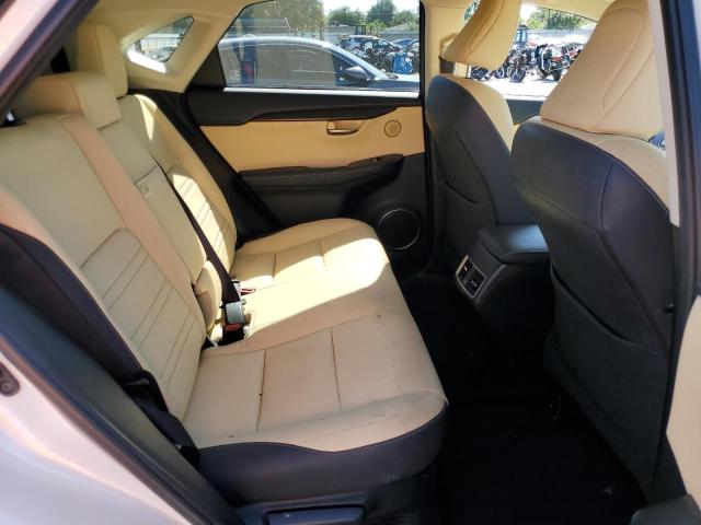 JTJYARBZ5K2153431 - 2019 LEXUS NX 300 BASE Ağ foto 11