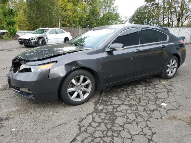 19UUA8F57DA008324 - 2013 ACURA TL TECH GRAY photo 1