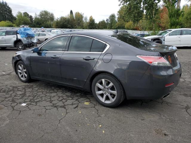 19UUA8F57DA008324 - 2013 ACURA TL TECH GRAY photo 2