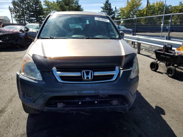 JHLRD78863C003974 - 2003 HONDA CR-V EX TAN photo 5