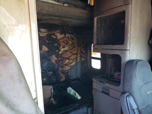 1FUJGLDR3HLHL8066 - 2017 FREIGHTLINER CASCADIA 1 Білий фото 6