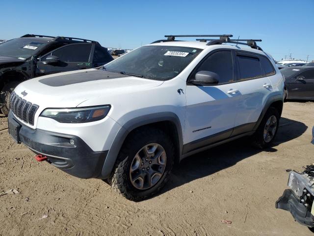 1C4PJMBN9KD368281 - 2019 JEEP CHEROKEE TRAILHAWK WHITE photo 1