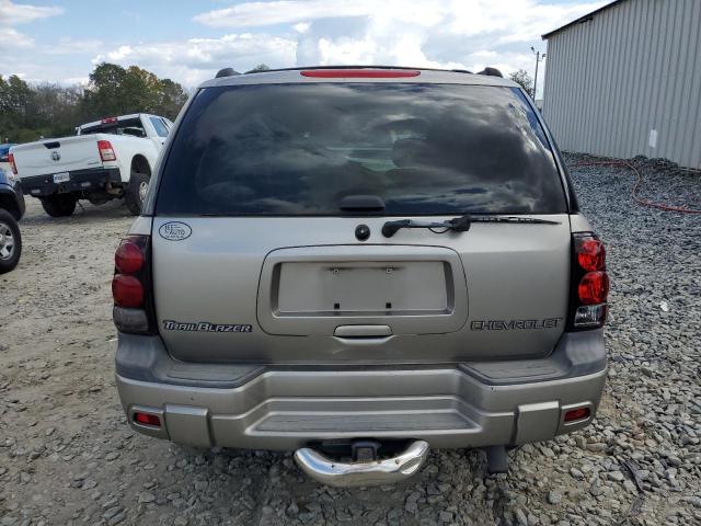 1GNDS13S722438396 - 2002 CHEVROLET TRAILBLAZE GOLD photo 6