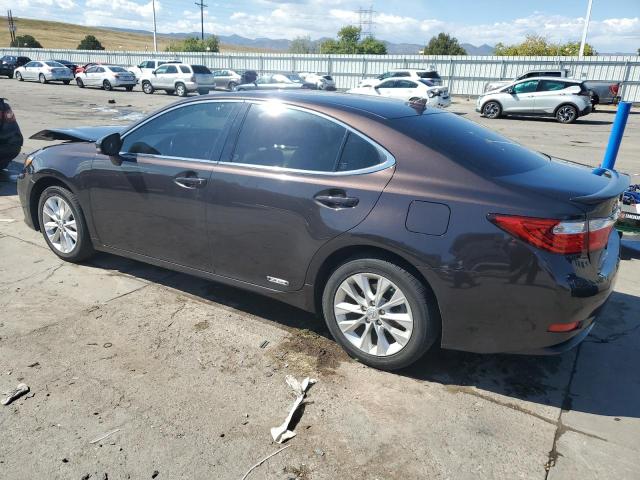 JTHBW1GG7E2050016 - 2014 LEXUS ES 300H BROWN photo 2