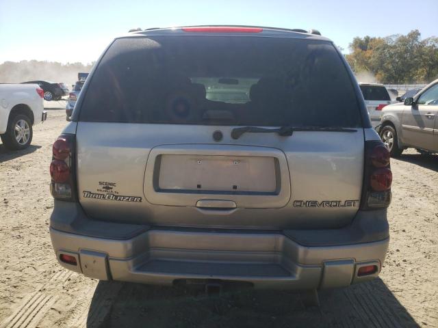 1GNDS13S432237735 - 2003 CHEVROLET TRAILBLAZE GRAY photo 6