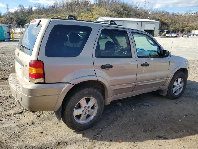 1FMYU93147KB88385 - 2007 FORD ESCAPE XLT CREAM photo 3