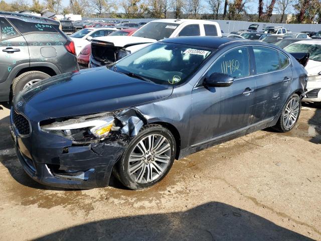 KNALN4D78E5165606 - 2014 KIA CADENZA PREMIUM GRAY photo 1