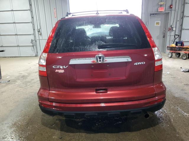 5J6RE4H70BL124458 - 2011 HONDA CR-V EXL BURGUNDY photo 6