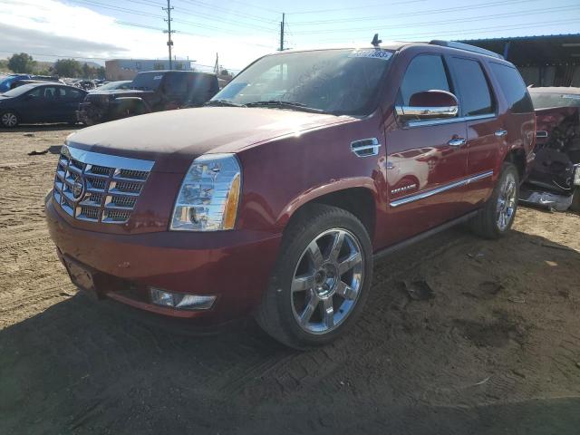 1GYS4CEF5BR131154 - 2011 CADILLAC ESCALADE PREMIUM RED photo 1