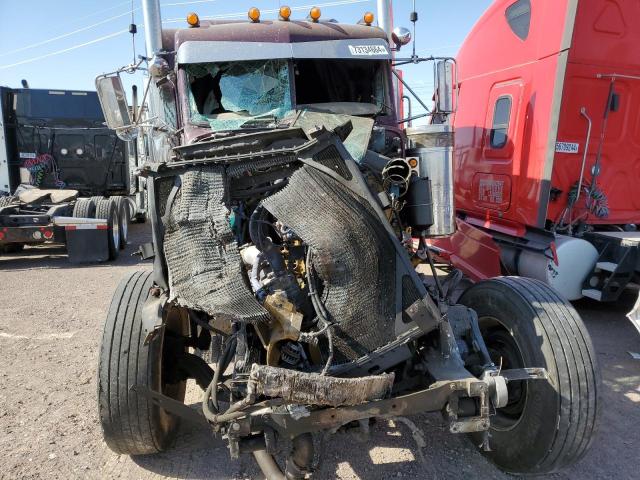 1XP5DB9X41D560876 - 2001 PETERBILT 379 BURGUNDY photo 9