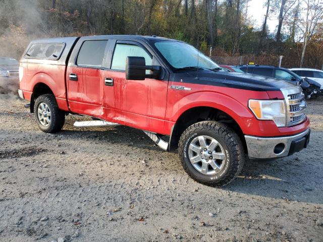 1FTFW1EF9EKF28725 - 2014 FORD F150 SUPERCREW RED photo 4