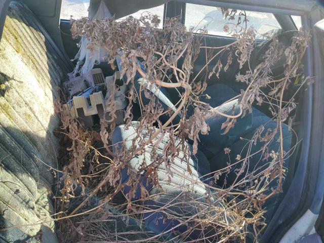 1G3AJ51R5KG346681 - 1989 OLDSMOBILE CUTLASS CI WHITE photo 10