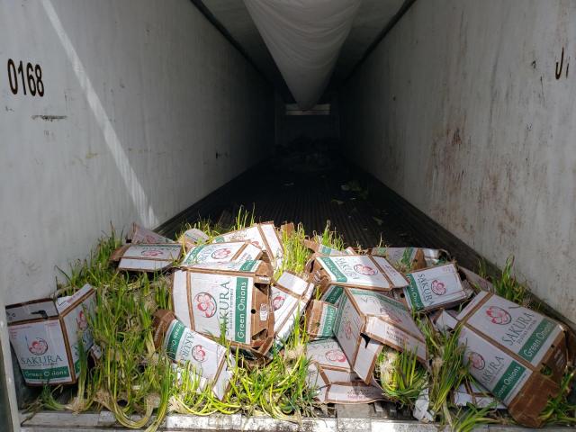 1UYVS2535N6657204 - 2022 UTILITY TRAILER Ağ foto 6