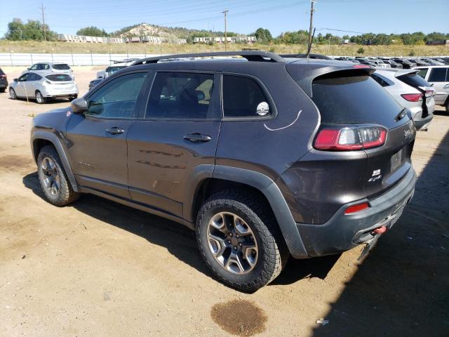 1C4PJMBX1KD136646 - 2019 JEEP CHEROKEE TRAILHAWK GRAY photo 2