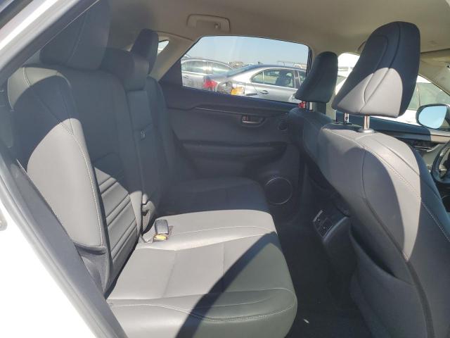 JTJAARDZ8L5007944 - 2020 LEXUS NX 300 BASE თეთრი ფოტო 11