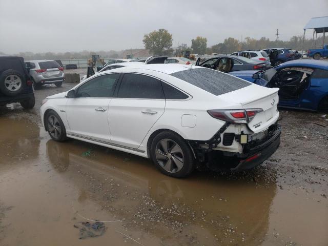 KMHE34L38HA067246 - 2017 HYUNDAI SONATA HYBRID WHITE photo 2