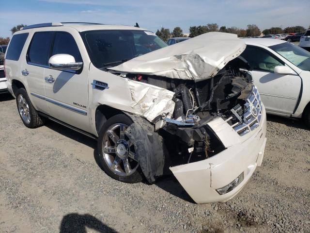 1GYS4CEF6BR351810 - 2011 CADILLAC ESCALADE PREMIUM CREAM photo 4