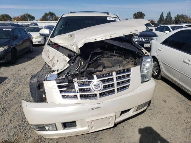 1GYS4CEF6BR351810 - 2011 CADILLAC ESCALADE PREMIUM CREAM photo 5