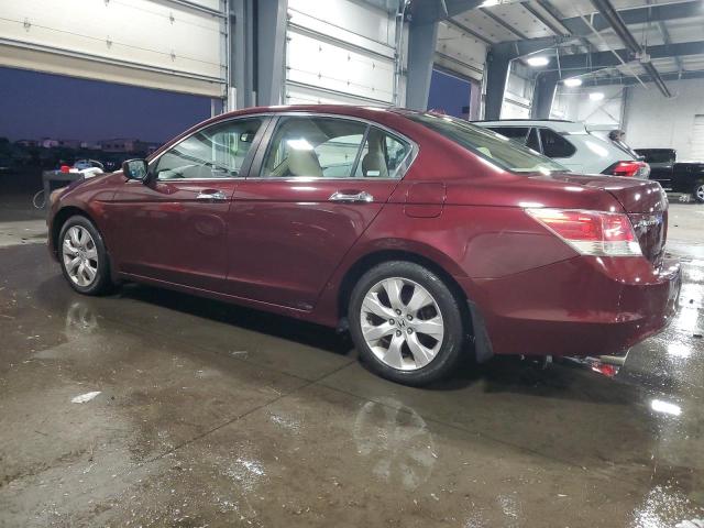 1HGCP36878A040848 - 2008 HONDA ACCORD EXL BURGUNDY photo 2