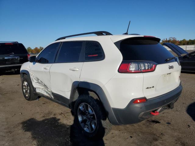 1C4PJMBX1KD182963 - 2019 JEEP CHEROKEE TRAILHAWK Ağ foto 2