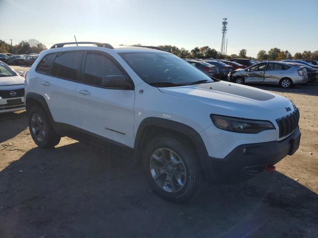 1C4PJMBX1KD182963 - 2019 JEEP CHEROKEE TRAILHAWK Ağ foto 4