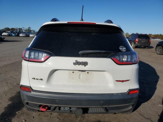 1C4PJMBX1KD182963 - 2019 JEEP CHEROKEE TRAILHAWK Ağ foto 6