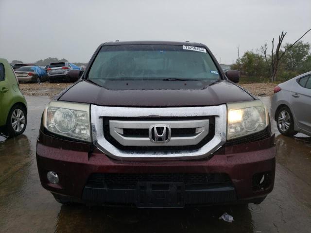 5FNYF38569B002434 - 2009 HONDA PILOT EXL BURGUNDY photo 5