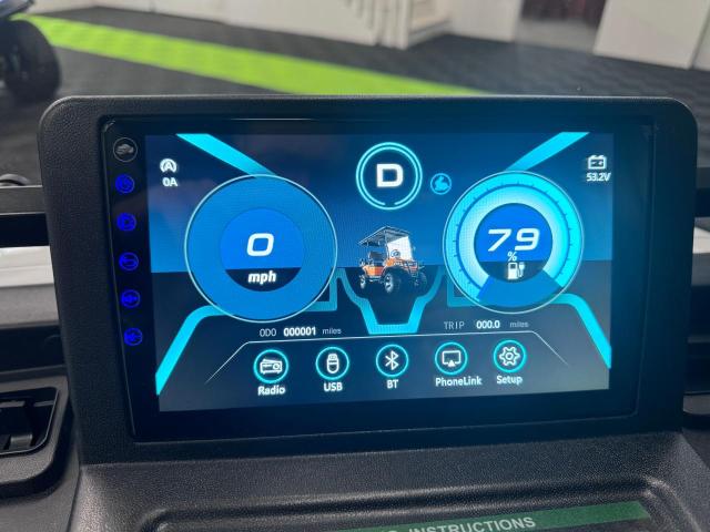 FC2201117 - 2024 FRME GOLF CART WHITE photo 8