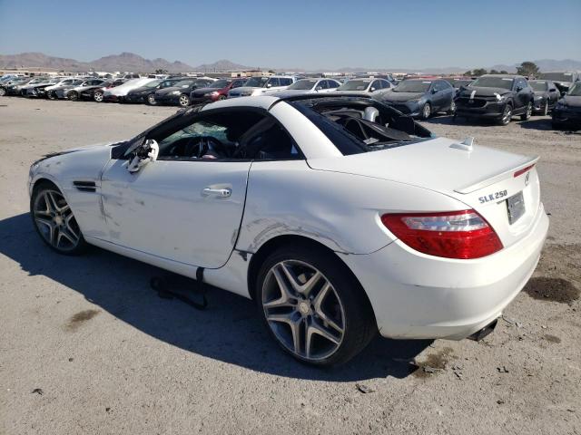 WDDPK4HA8EF089579 - 2014 MERCEDES-BENZ SLK 250 WHITE photo 2