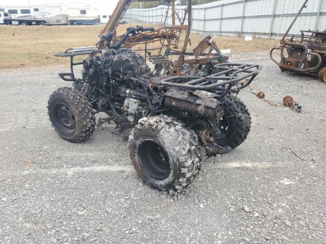 1HFTE359074000919 - 2007 HONDA TRX420 FM BURN photo 3