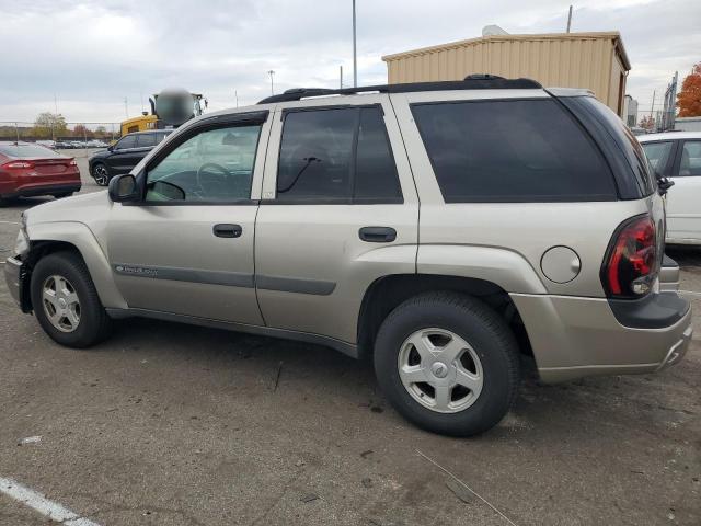 1GNDT13S932381018 - 2003 CHEVROLET TRAILBLAZE TAN photo 2