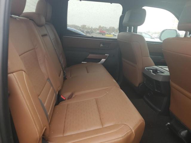 5TFMC5DB1PX031583 - 2023 TOYOTA TUNDRA CREWMAX PLATINUM Grau Foto 10
