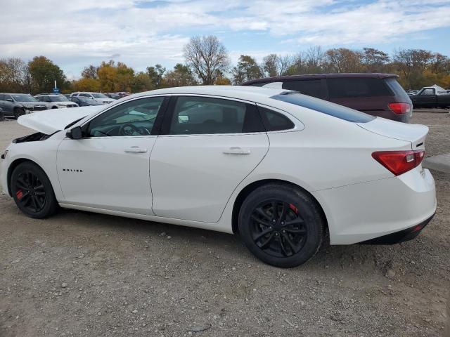 1G1ZD5STXJF208202 - 2018 CHEVROLET MALIBU LT WHITE photo 2