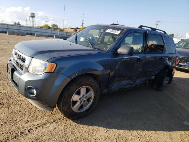 2010 FORD ESCAPE XLT, 