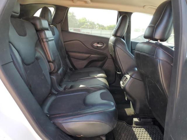 1C4PJMBS3EW255666 - 2014 JEEP CHEROKEE TRAILHAWK Ağ foto 10